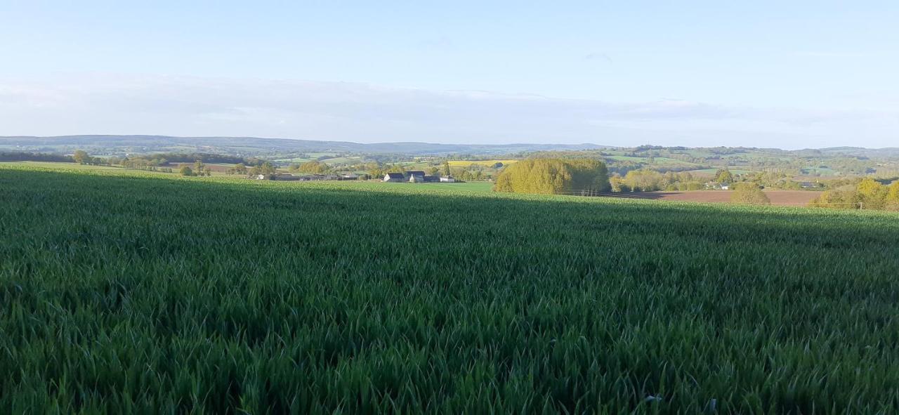 Private Farmhouse For Six In The Countryside Saint-Pierre-sur-Orthe Kültér fotó